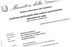 Clicca qui per vedere esempi in PDF